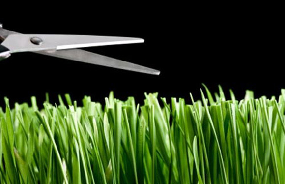 Кто такой педант и хорошо ли быть им