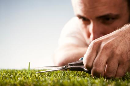 Стыд: что это?