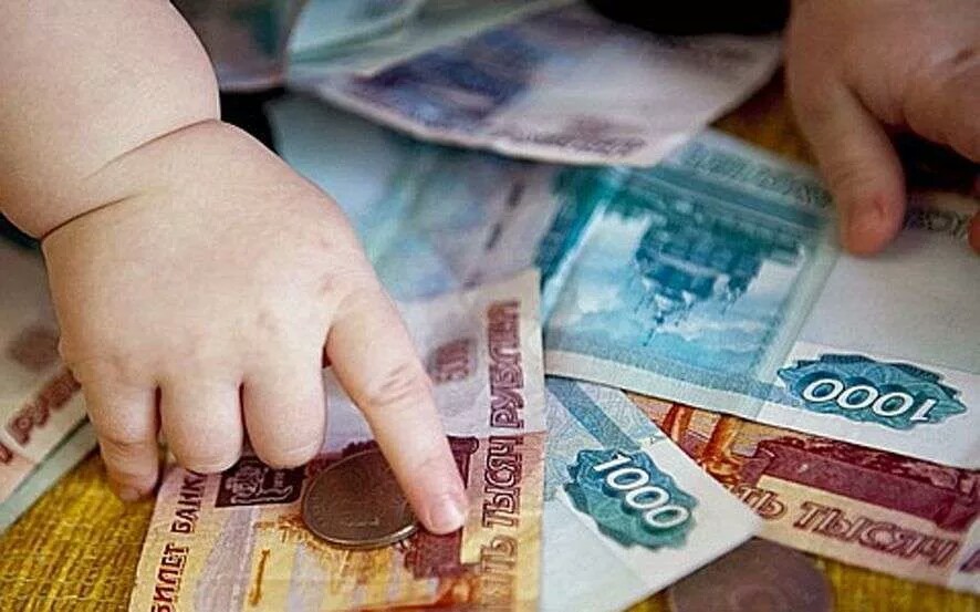 Как подать на алименты и кто может требовать деньги на свое содержание