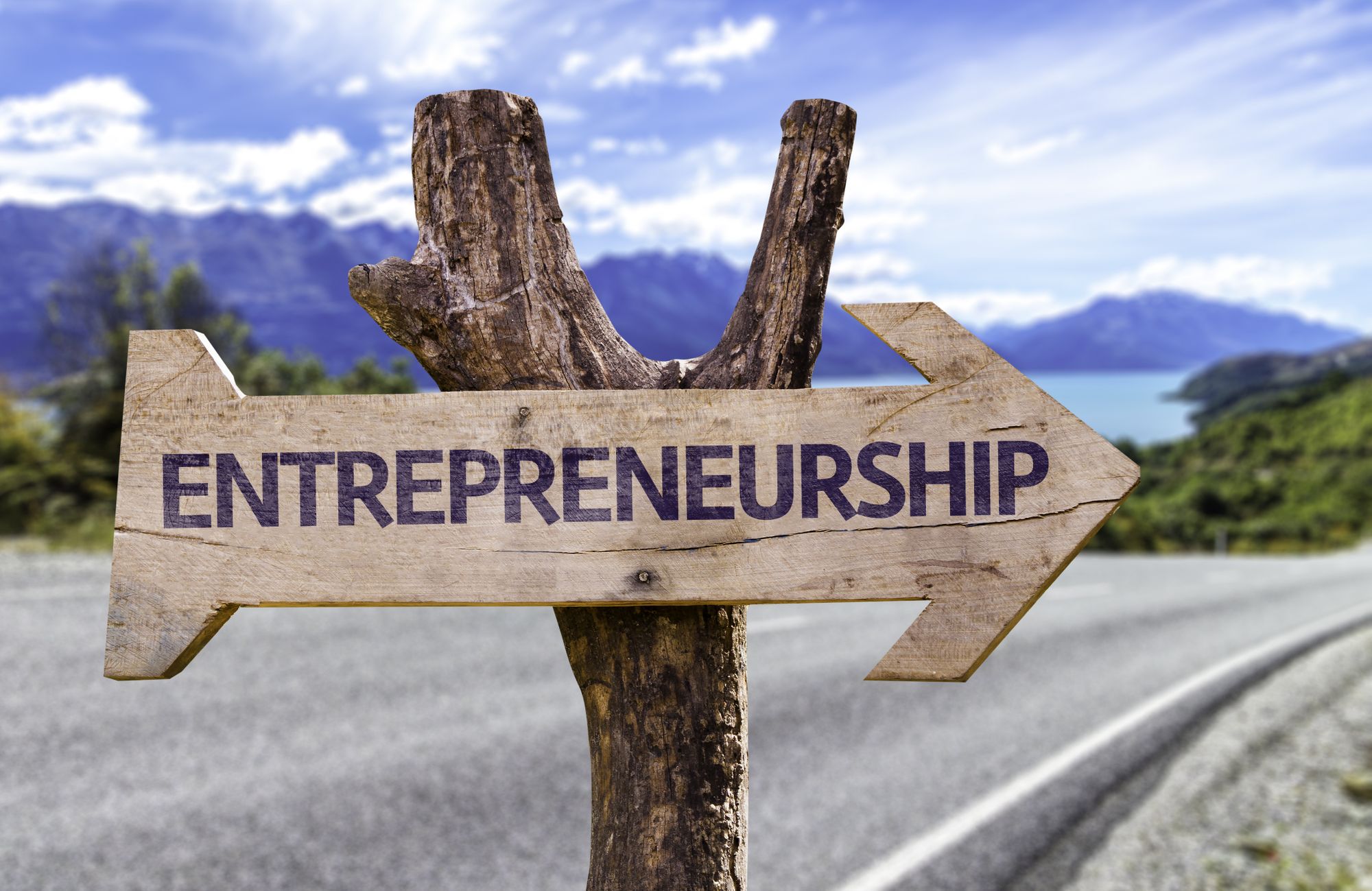 5 Reasons Why Most Entrepreneurs Succeed in their Business