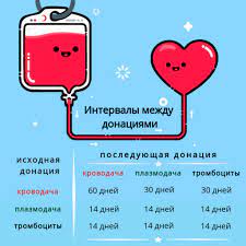 Как стать донором крови за деньги и безвозмездно: что для этого нужно, как часто можно сдавать, какие полагаются льготы