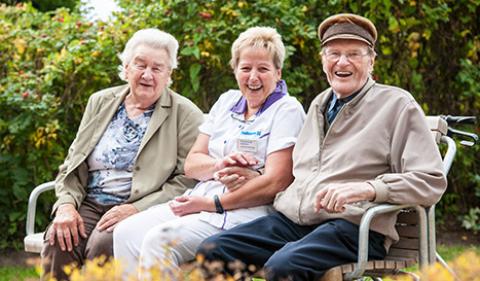 Что такое социальная пенсия: виды и суммы выплат, категории получателей, порядок оформления