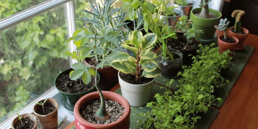 Эмпирическое познание – что это?