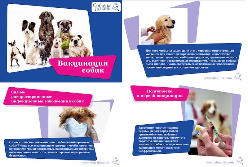 White paper — что это такое, как создать, и зачем это нужно бизнесу