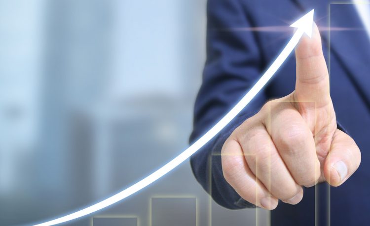 Gauging if I Need to Further my Education to Run my Business