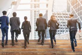 Gauging if I Need to Further my Education to Run my Business