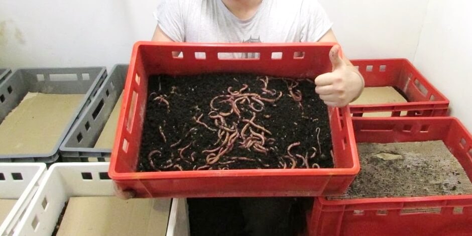 20 бизнес-идей на дому с минимальными вложениями