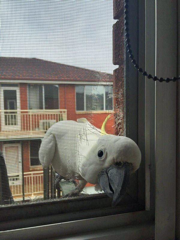 10 Tips to Grow Your Network on LinkedIn