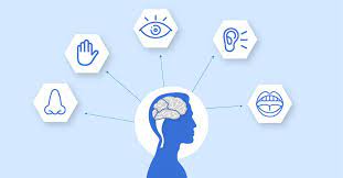 Qualitative vs Quantitative Research – What’s The Difference?