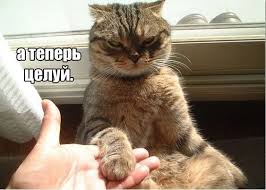 Что такое самоутверждение и как самоутвердиться экологично