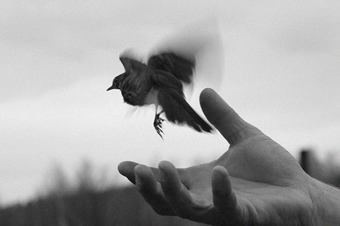 Как обрести свободу личности и зачем это делать: советы профессиональных психологов