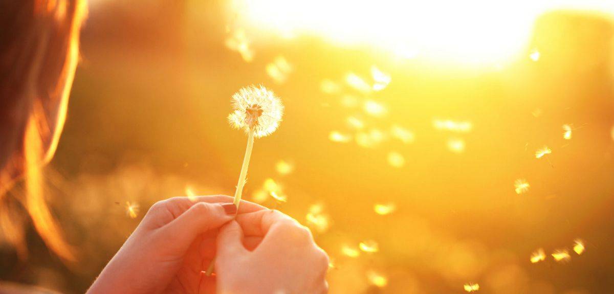 Как обрести свободу личности и зачем это делать: советы профессиональных психологов