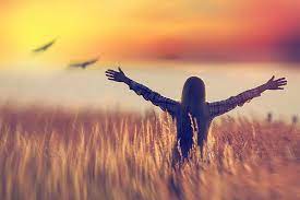 Как обрести свободу личности и зачем это делать: советы профессиональных психологов