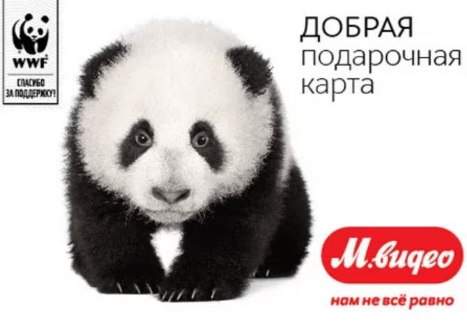 Проведение рекламных промо-акций: цели, план, правила, сроки