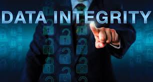 How Data Integrity is Crucial for Your Business