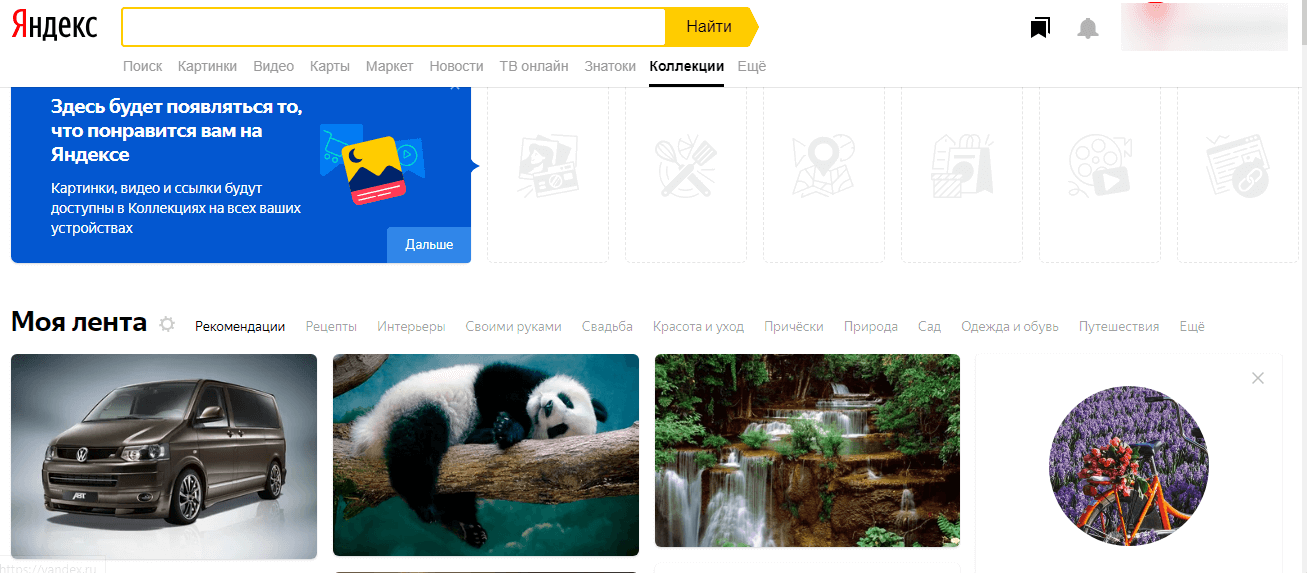 Автомобиль с колесом на фоне дикой природы с медведем-пандой, млекопитающим.