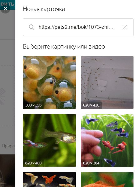 Яндекс.Коллекции: что это такое, как добавить или убрать коллекции