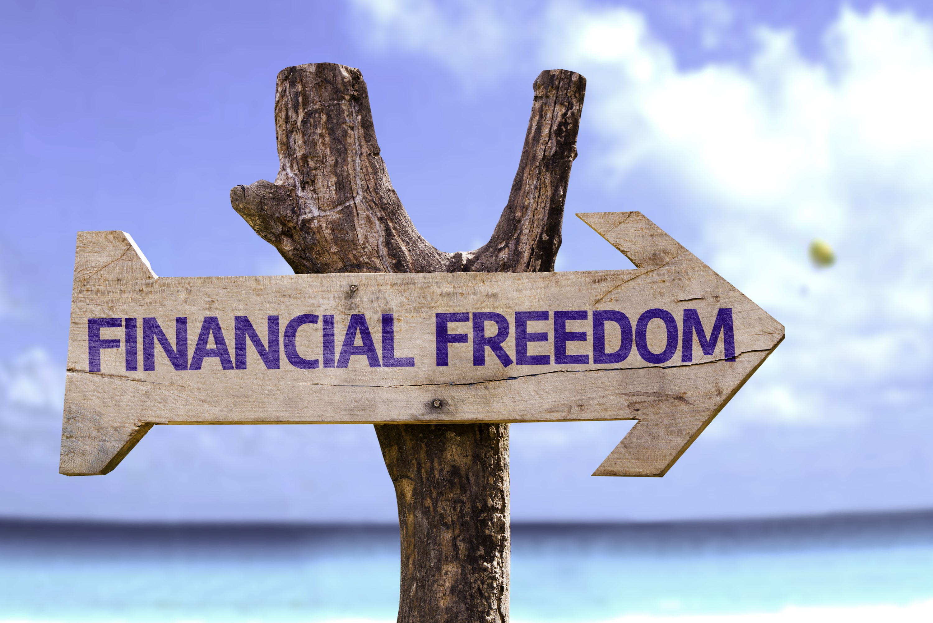 The Four Ways That Will Help You Reach Financial Independence