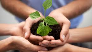 How to Start a Business: Step-by-Step Grow your Business