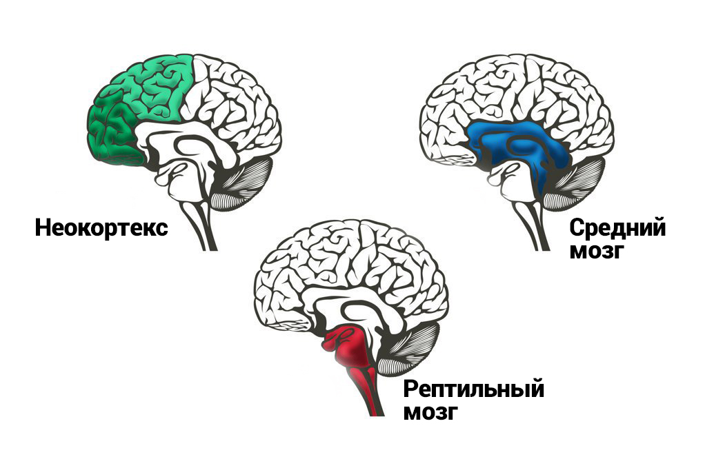 Нейромаркетинг: продажи на уровне подсознания