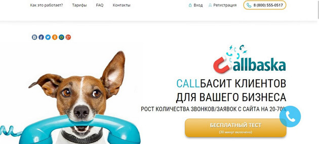 ТОП-10 сервисов обратного звонка с сайта: выбираем Callback-виджет