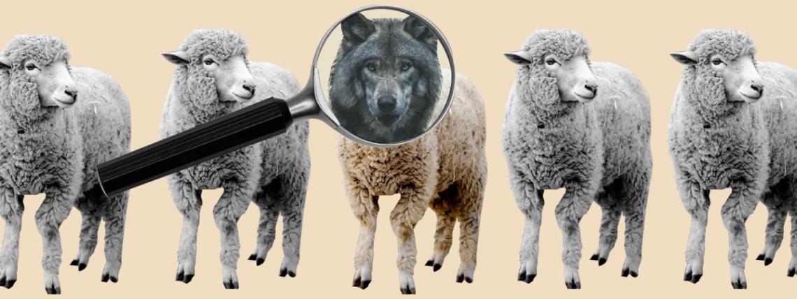 20+ лучших платных и бесплатных курсов по профайлингу