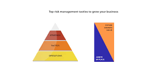 Fascinating Risk Management Tactics That Can Help Your Business Grow