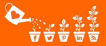 Grow Your Business follow top Social Media tips