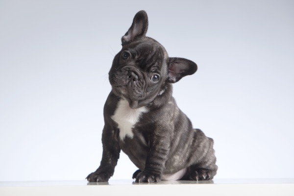 7 Best Industries for Starting a Business in 2022