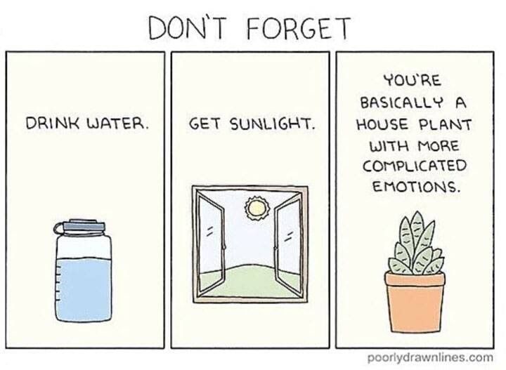 Как работать удаленно и не облажаться