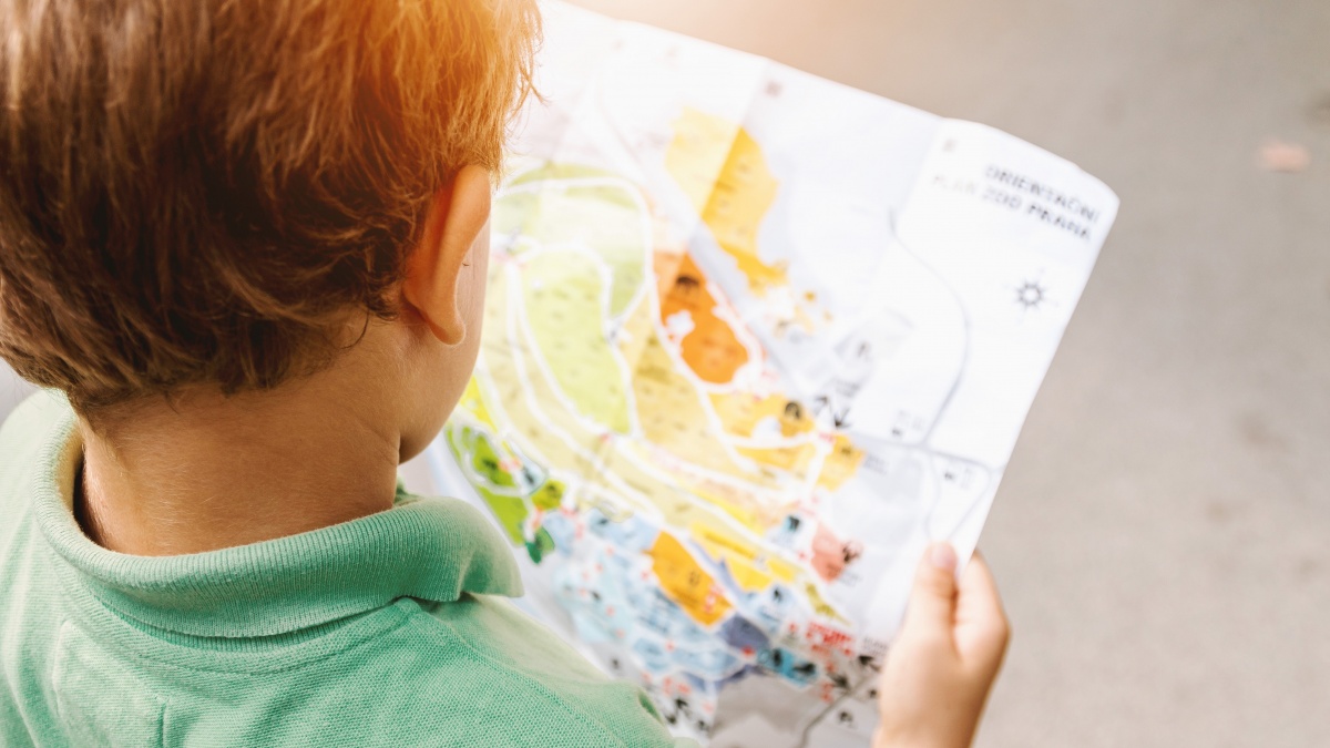 Откуда берется любознательность и как ее развить