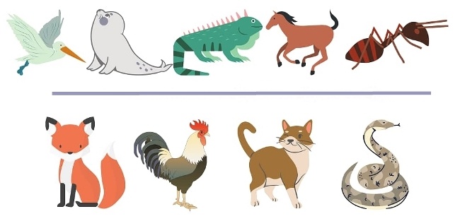 Задача с животными