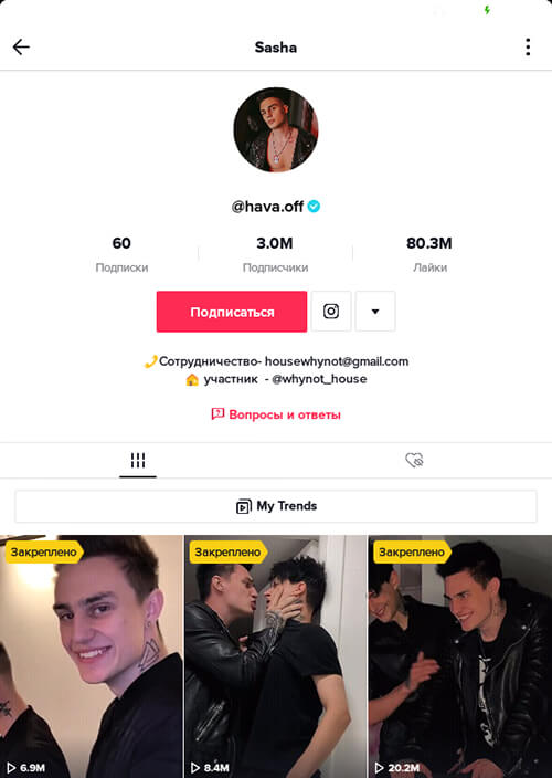 Что указать в описании участнику дома блогеров