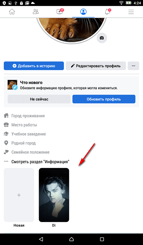 Актуальные сторис Фейсбук