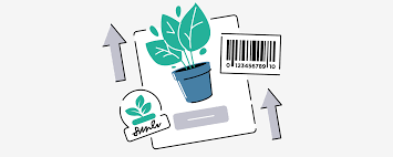 Rank On Google Using SEO