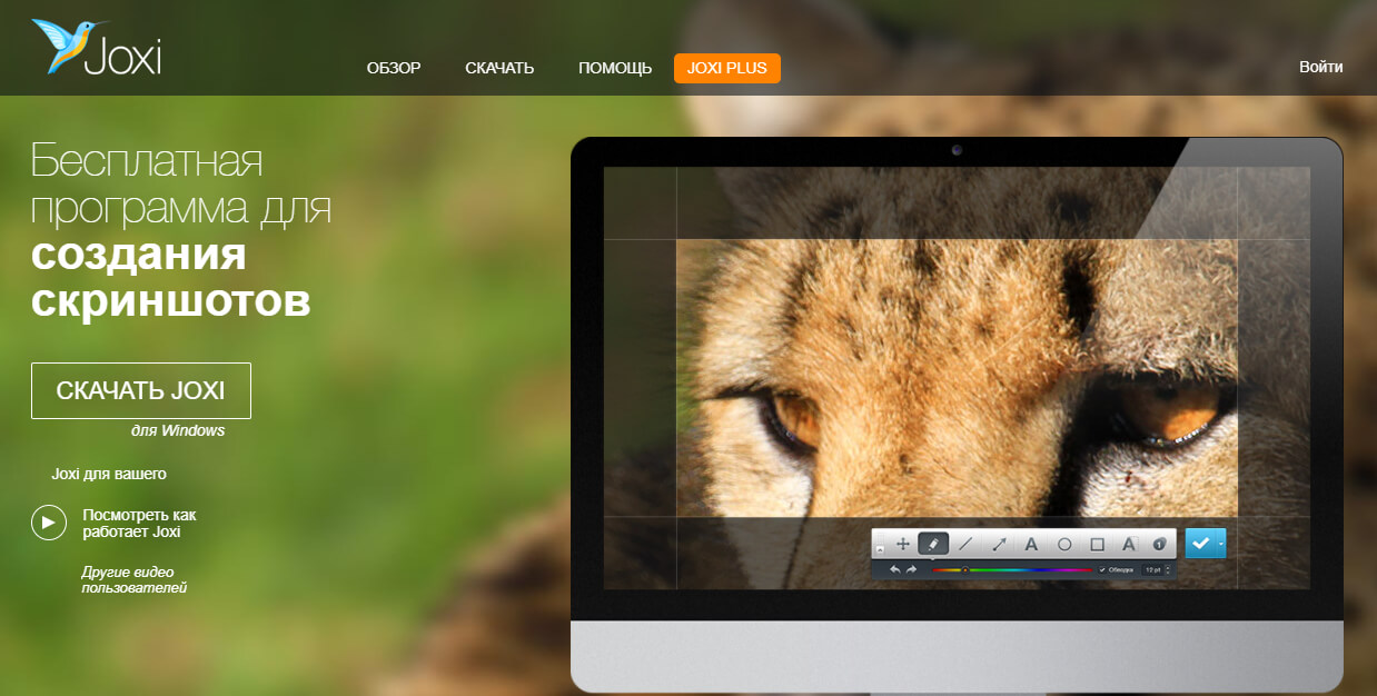 ТОП-8 программ для создания скриншотов + советы