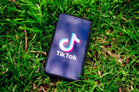 A guide to becoming famous on TikTok