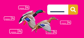 Виды поисковых запросов: полная классификация с примерами