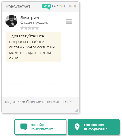 ТОП-10 онлайн чатов для сайта: обзор online консультантов