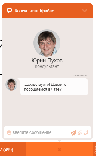 ТОП-10 онлайн чатов для сайта: обзор online консультантов
