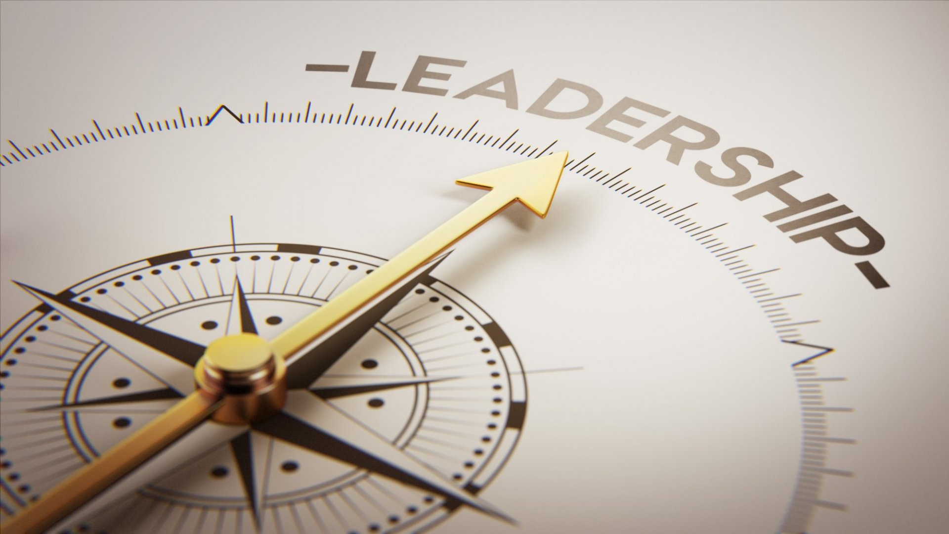 Top 7 Things Great Leaders do every Day