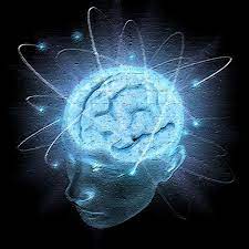 A Beginner’s Guide to Neurofeedback Therapy