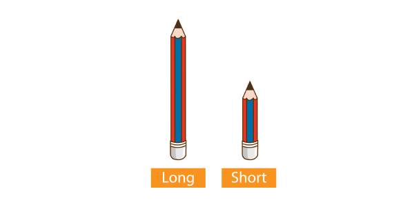 How to choose The Perfect Domain Name