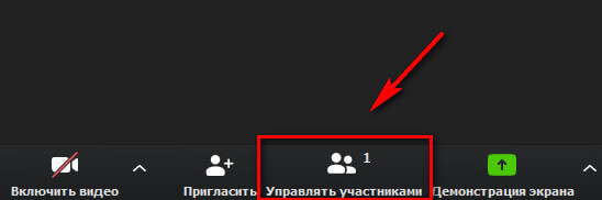 Управление конференцией в Zoom