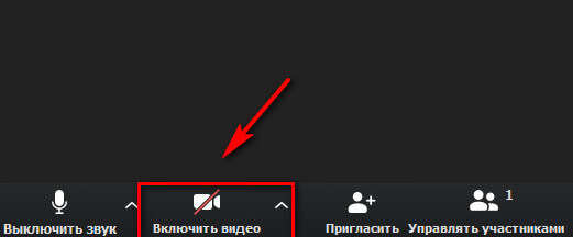 Как отключить камеру или звук в Zoom