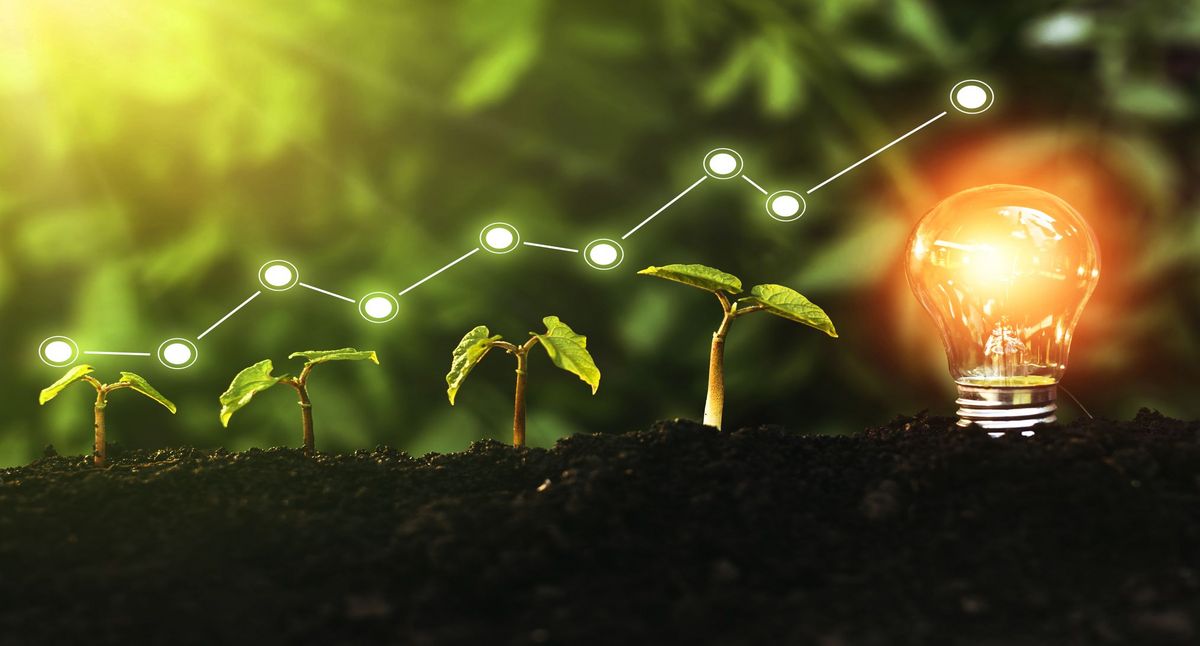 These Green Technologies Can Reverse Climate Change