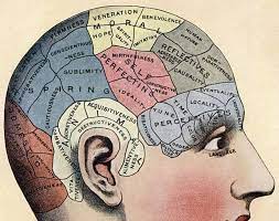 Навыки и способности человека – что это такое, чем отличаются и как их развить