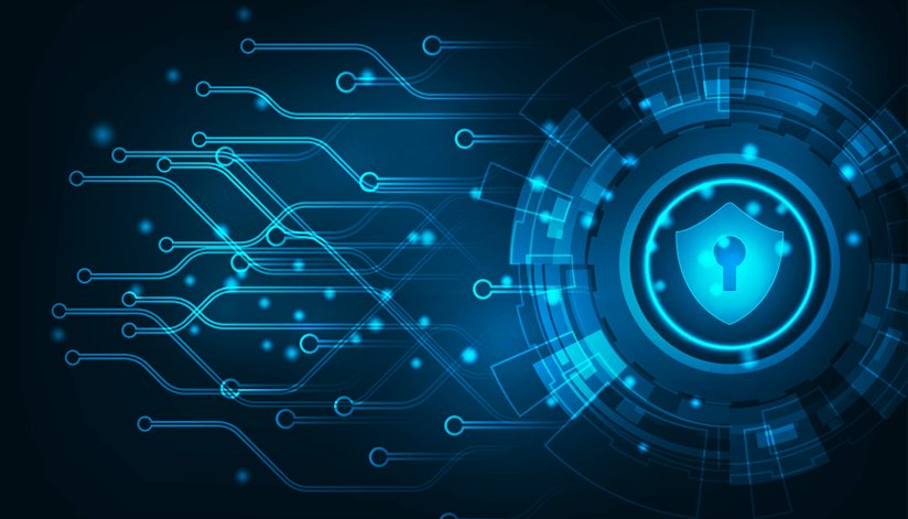 Data Security: Tips to Keep Your Financial and Personal Information Safe