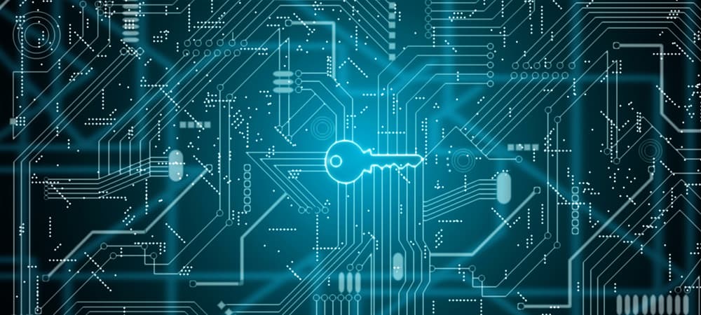 Encryption Technologies Ensure Data Privacy