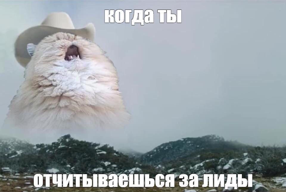 Трафик с контекста есть, а лидов нет: кто виноват и что делать